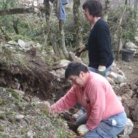 Jardin botanique : déblaiement - Cliquez sur l'icone pour agrandir